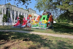 inbound567188494925984024