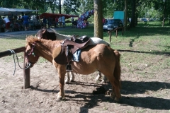 poni2